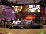 naiasaudi001.jpg (450004 bytes)